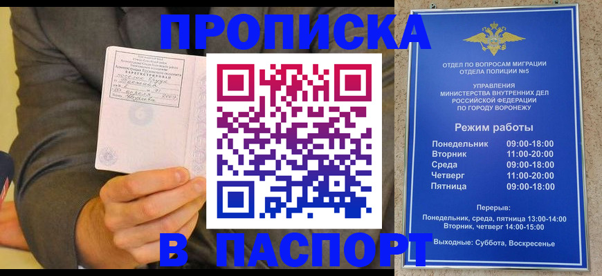 регистрация в Щёлково